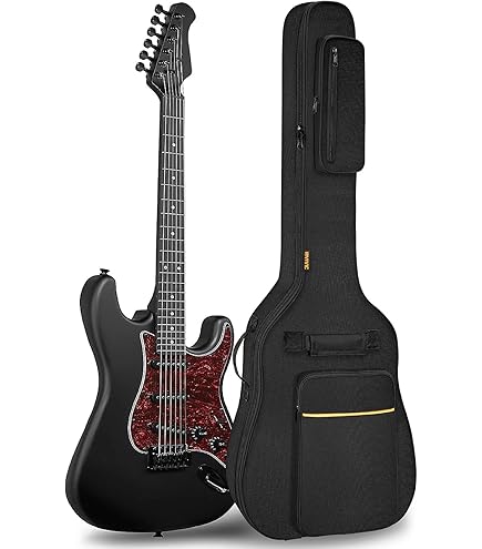 Amazon | Aria ARIA アリア エレキベース用ソフトバック BKACK クロ PB